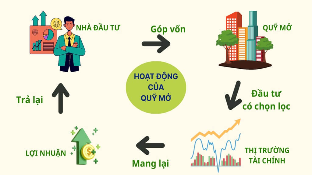 Dau Tu Quy Mo Thong Qua Quy Quan Ly