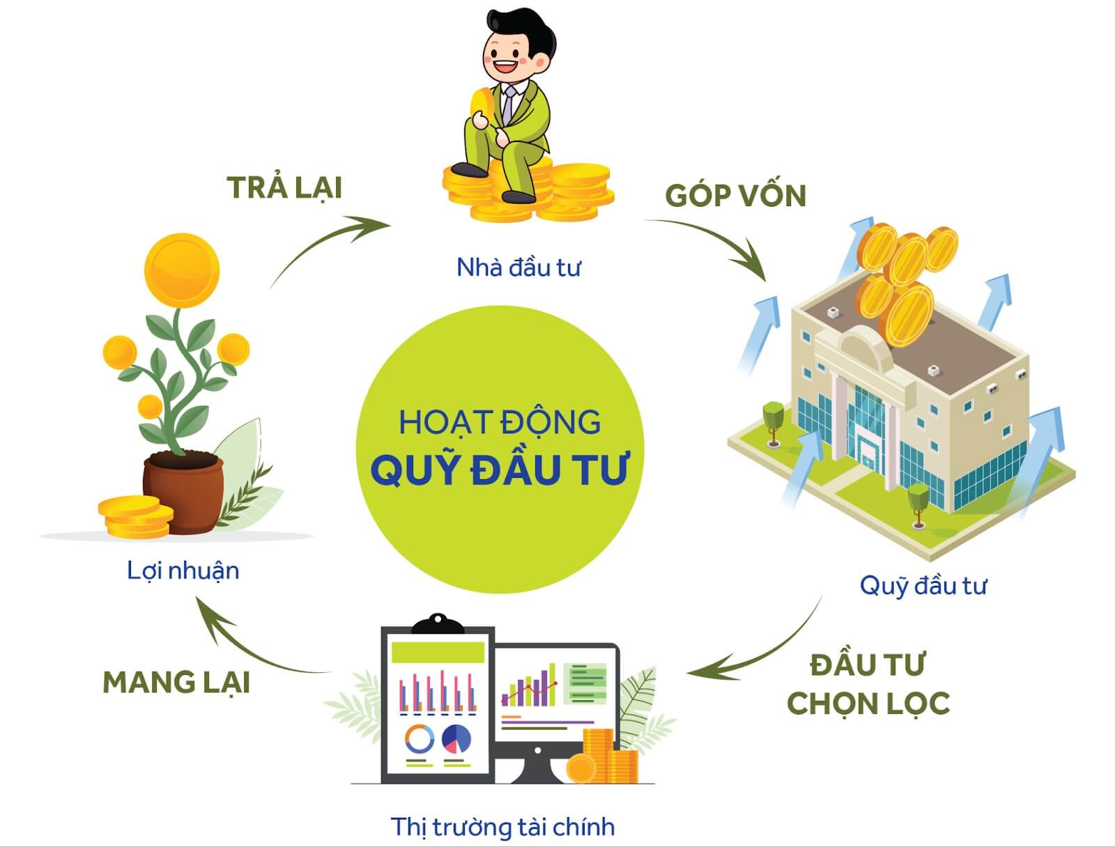 Dau Tu Chung Chi Quy