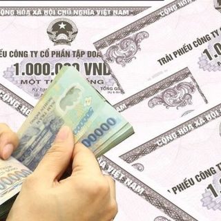 Trái phiếu riêng là gì? Phân biệt trái phiếu riêng lẻ và trái phiếu công chúng