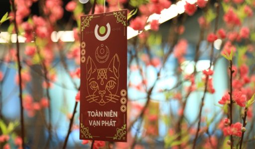 ACBS – Tết Quý Mão 2023